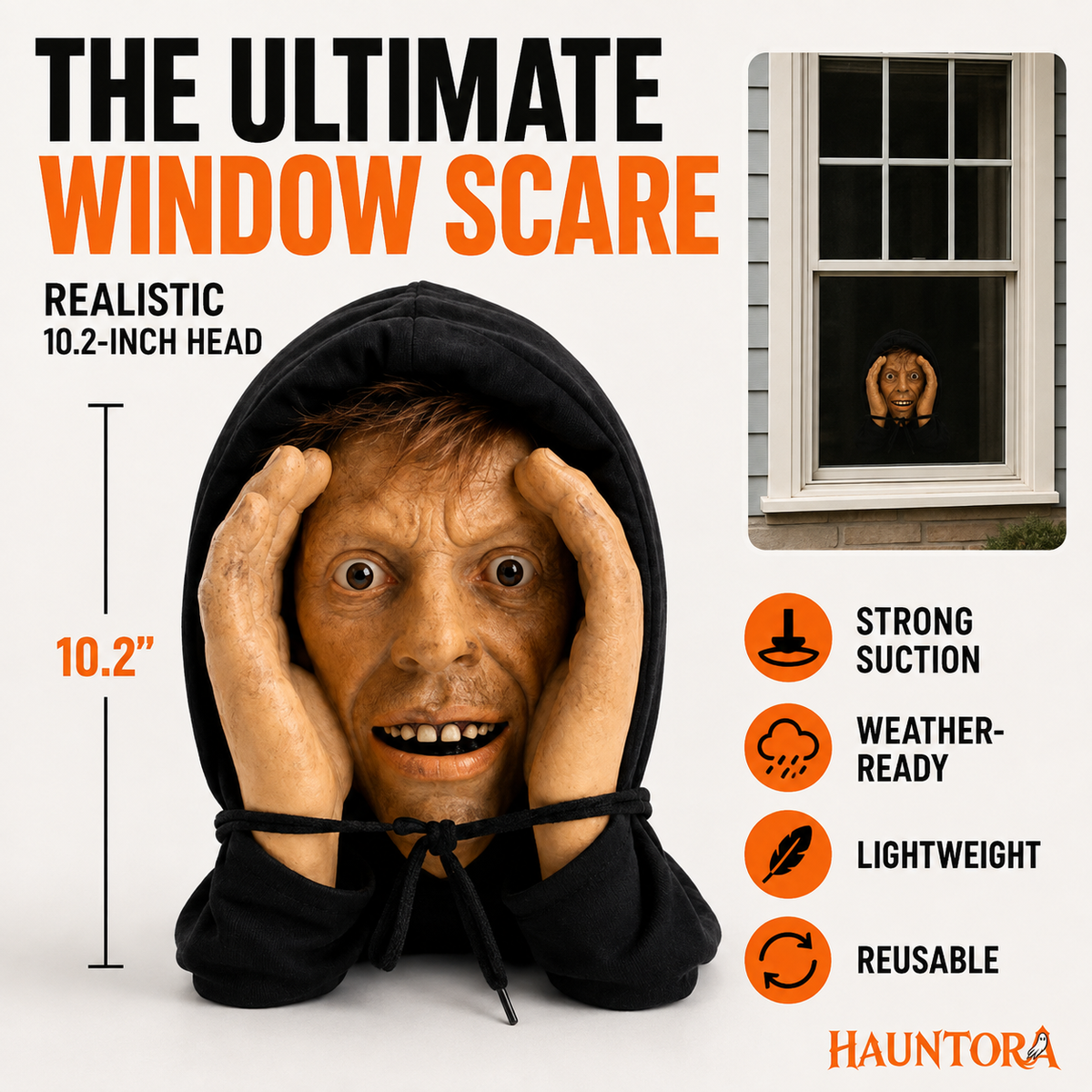 Window Lurker
