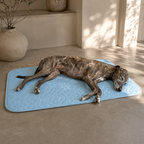 Pet Cooling Mat for Dogs & Cats